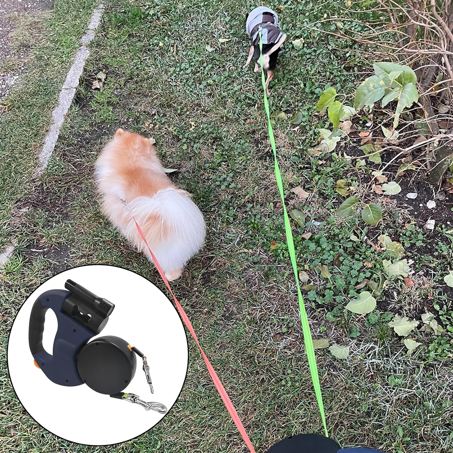 DuoFlex Hundeleine – Freiheit für Zwei Hunde